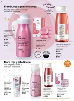 Vista previa las ofertas de la tienda Natura - Campaña 17 2025 desde el 22/11/2025 | Página: 139