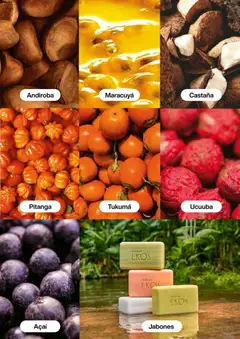  Vista previa del prospecto Catálogo C16/2025 del almacen Natura válida del 13/11/2025 al 31/12/2025 | Página: 136