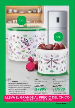 Vista previa del folleto de la tienda Tupperware válido desde el 09/12/2025 | Página: 44