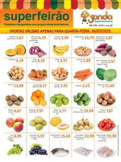 Pré-Visualização do folheto "Ofertas Feirão" da loja Sonda válido a partir de 16/07/2025