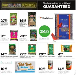 Ad Preview of Mills Fleet Farm Black Friday from 11/06/2025 | Page: 29