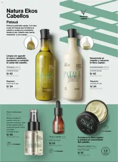 Vista previa de Ciclo 16 de la tienda Natura válido desde 12/10/2025 | Página : 138