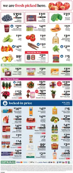 Ad Preview of ShopRite Weekly Ad from 11/07/2025 | Page: 11