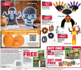 Ad Preview of ACE Hardware Weekly Ad from 10/01/2025 | Page: 2