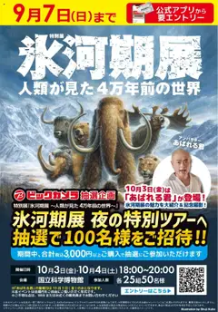 ビックカメラの2025/08/27から2025/09/07までのチラシはここビックカメラ抽選企画！特別展