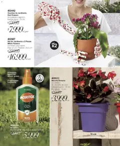 Vista previa del folleto de la tienda Violetta válido desde el 01/12/2025 | Página: 112