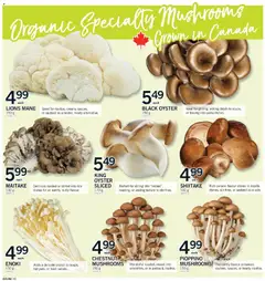 Un aperçu du dépliant Weekly flyer / circulaire du magasin Fortinos est valide à partir 30 oct. 2025 | Page: 10