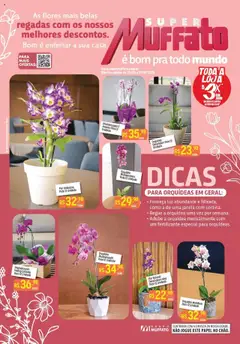 Pré-Visualização do folheto "Ofertas Primavera" da loja Super Muffato válido a partir de 20/09/2025
