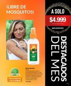 Vista previa del folleto de la tienda Bagués válido desde el 17/11/2025 | Página: 41