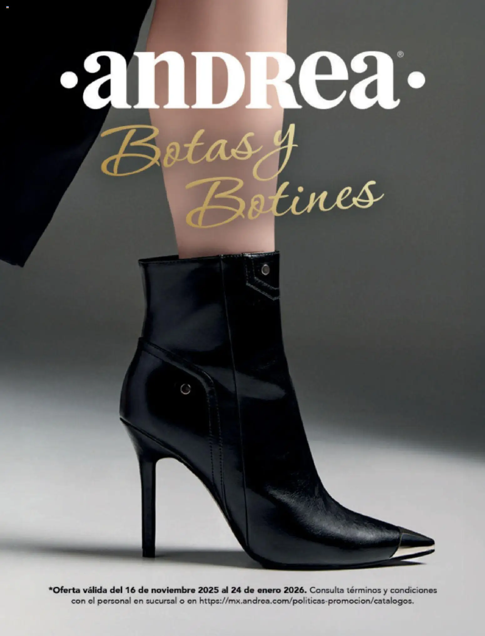 Vista previa las ofertas de la tienda Andrea - Catálogo Botas y botines desde el 16/11/2025 