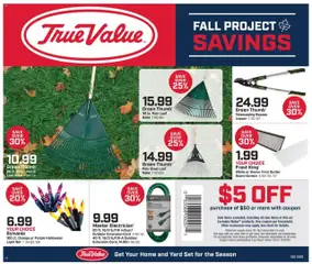 Ad Preview of True Value Ad from 10/10/2025