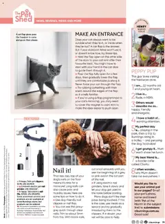 Preview of catalogue Bunnings Catalogue October from shop Bunnings Warehouse valid 01/10/2025 | Page: 79