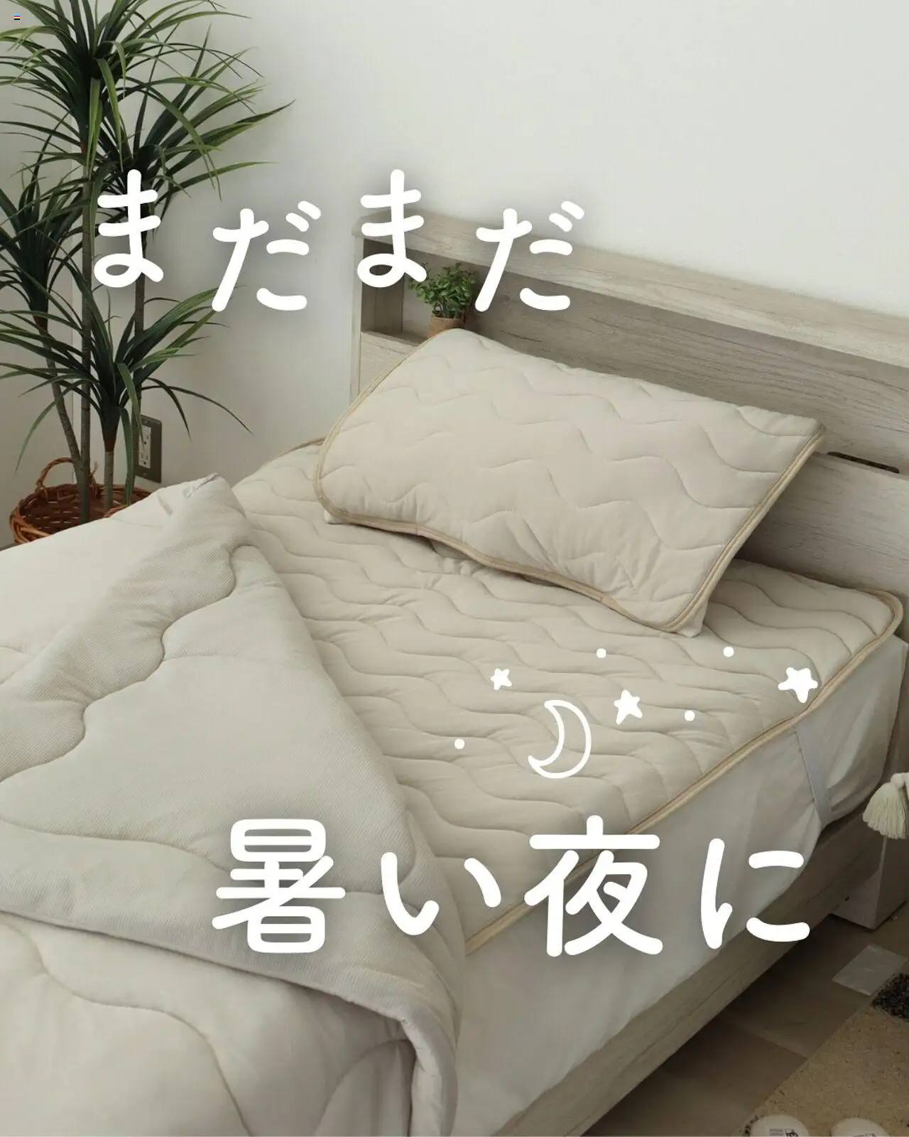 マナベインテリアハーツショッまだまだ 暑い夜にプは 2025/09/08から有効 - ページ番号 1