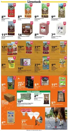 Ad Preview of Rural King Weekly Ad from 10/16/2025 | Page: 5