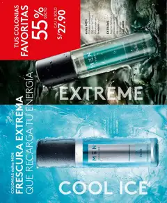 Vista previa de Campaña 1 de la tienda Ésika válido desde 18/12/2025 | Página: 152