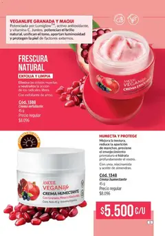 Vista previa del folleto de la tienda Amodil válido desde el 30/11/2025 | Página: 15