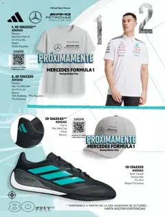 Vista previa las ofertas de la tienda Price Shoes - Catálogo Fall Importados desde el 18/08/2025 | Página: 80