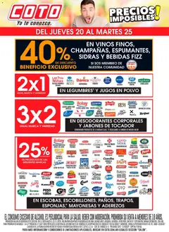 Vista previa del folleto de la tienda Coto válido desde el 20/11/2025 
