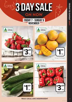 Preview of catalogue Catalogue NSW from shop Foodworks valid 05/11/2025 | Page: 3