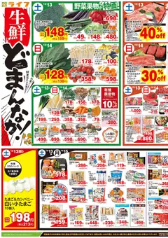 ライフの2025/12/13から2025/12/15までのチラシはここチラシ