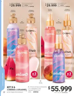  Vista previa del prospecto Carmel C17 2025 del almacen Carmel válida del 25/09/2025 al 31/12/2025 | Página : 150