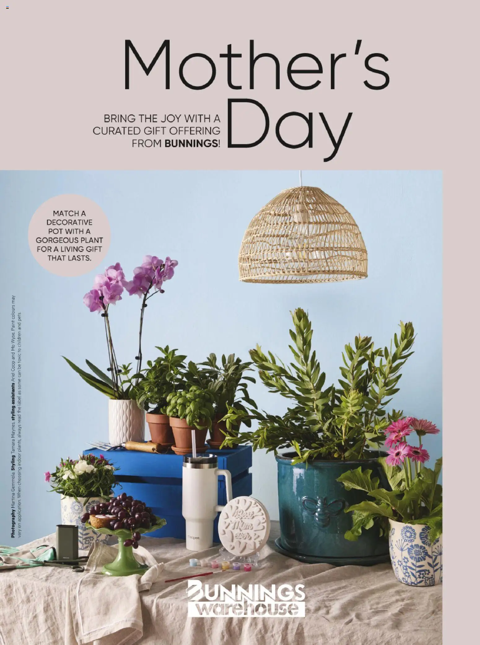 Preview of catalogue Bunnings Catalogue Mother's Day from shop Bunnings Warehouse valid 24/04/2026 - Pot, Plant