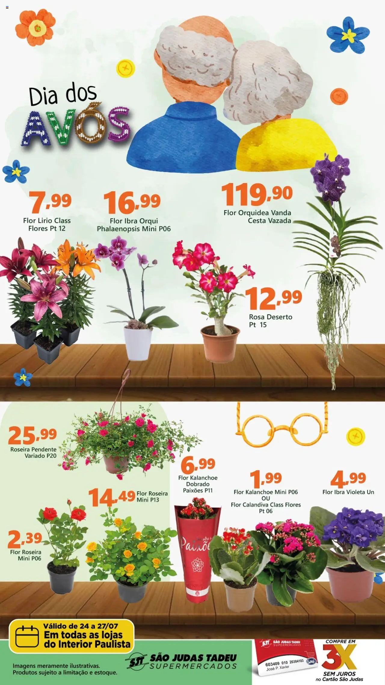 São Judas Tadeu folheto "Ofertas da semana" válido a partir de 24/07/2025 - número de página 1 - Orquídea, Flores, Cesta, Roseira pendente