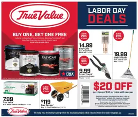 Ad Preview of True Value Ad from 08/29/2025