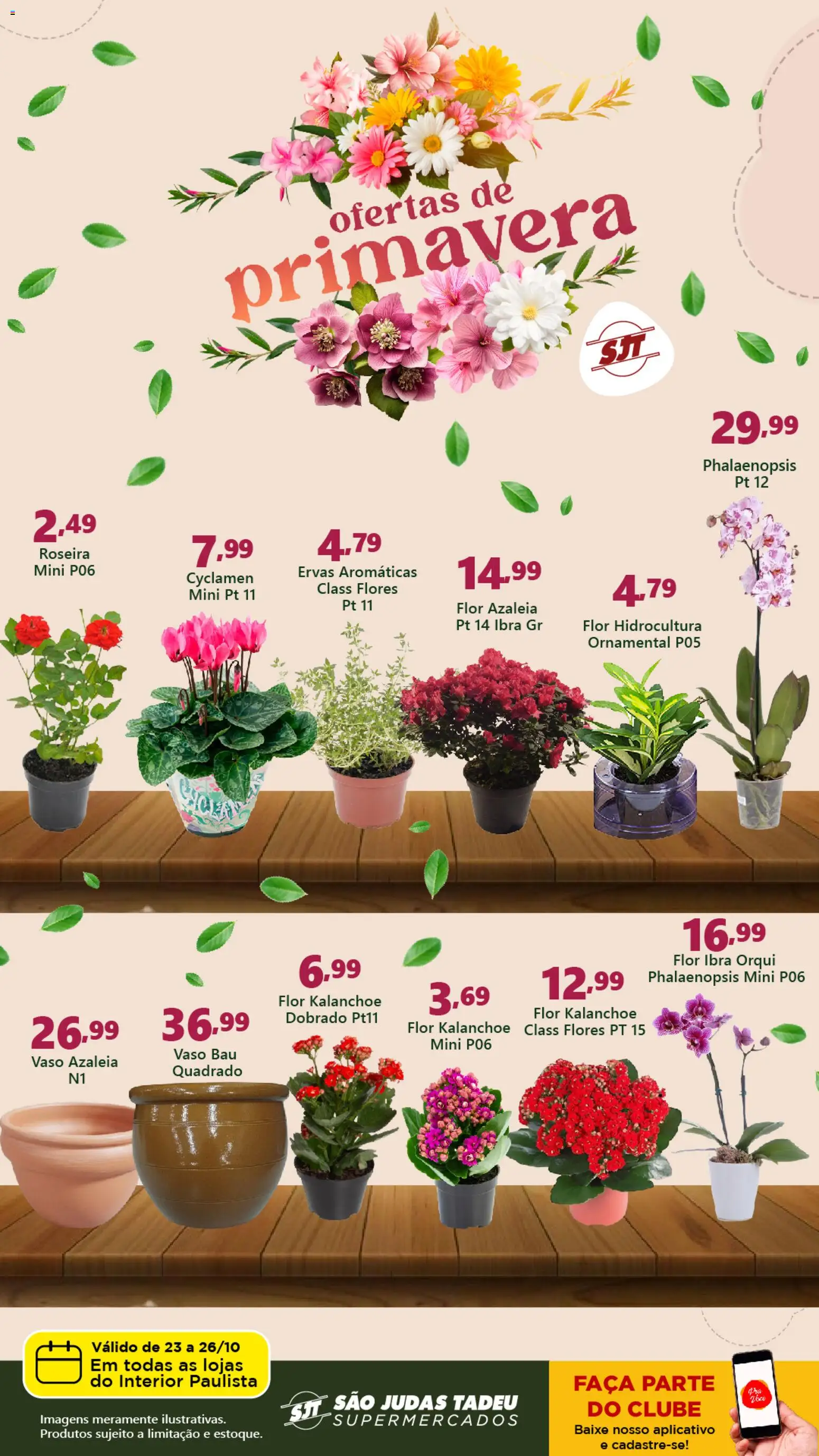 São Judas Tadeu folheto "Ofertas de Primavera" válido a partir de 23/10/2025 - número de página 1 - Flores, Vaso, Ervas aromáticas, Faca