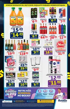 Pré-Visualização do folheto "Black Friday" da loja Roldão válido a partir de 28/11/2025 | Página: 4
