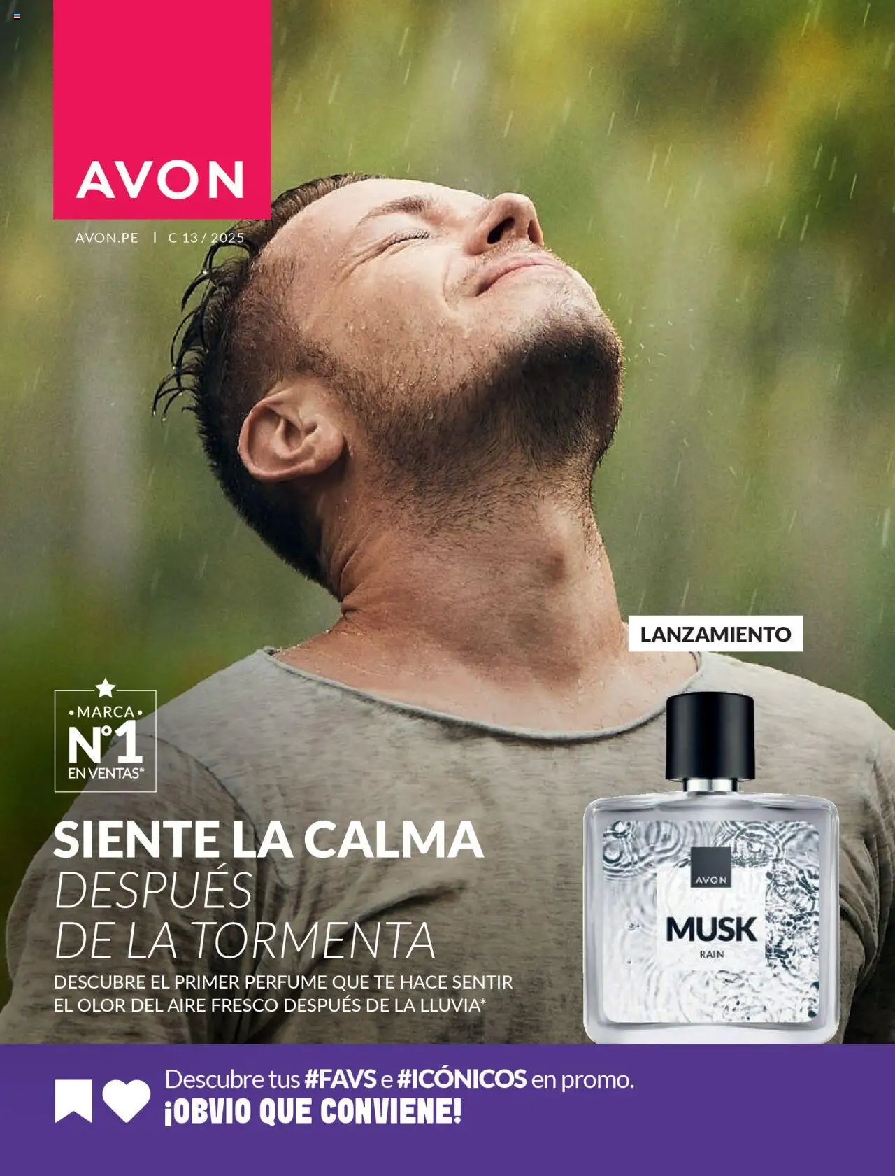 Catálogo Avon - Ciclo 13 - Ofertas Online - número de página 1