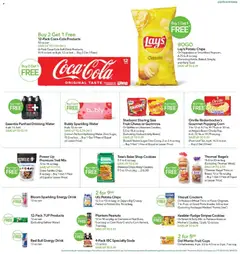 Ad Preview of Publix Leaflet from 10/29/2025 | Page: 13