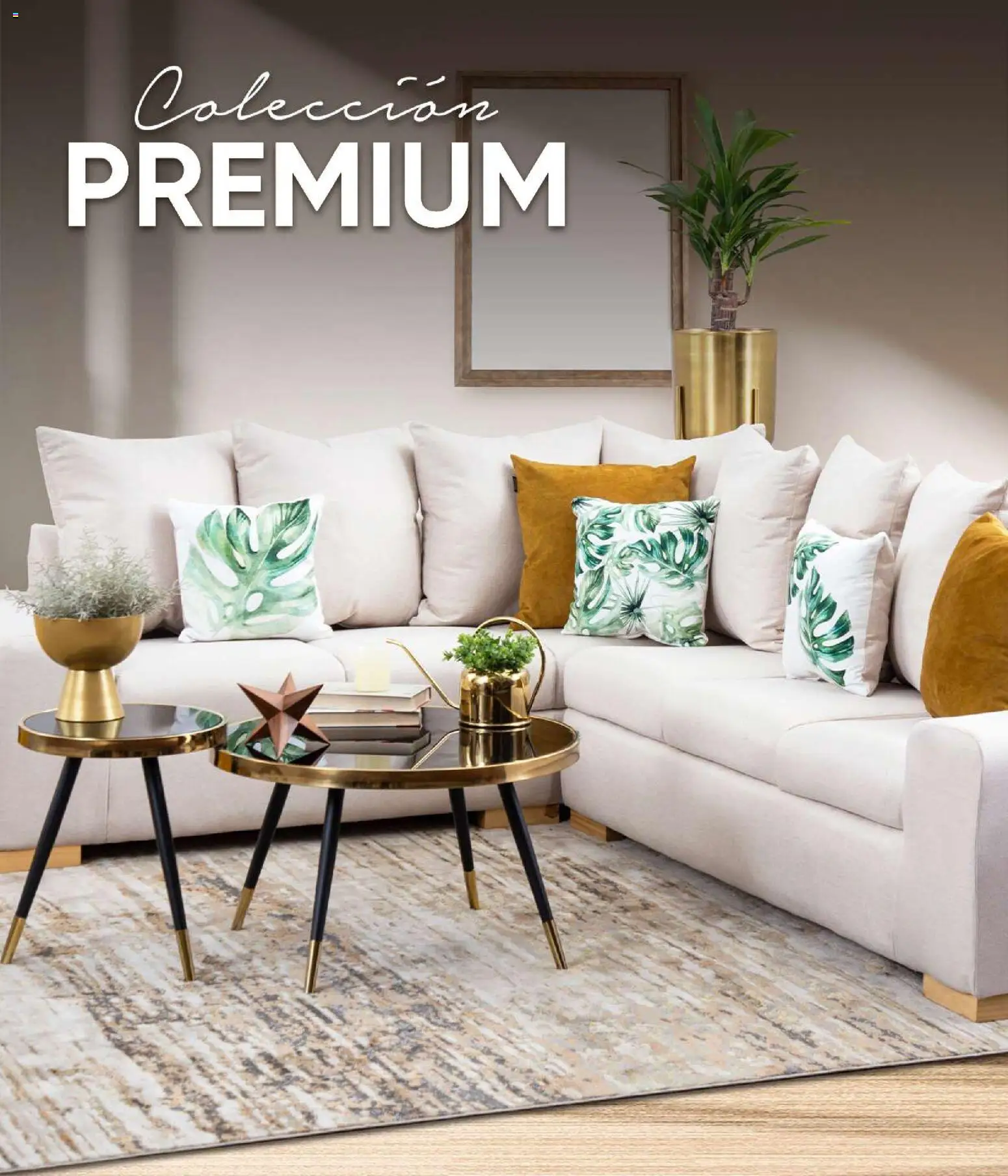 Vista previa las ofertas de la tienda Muebles Dico - Catálogo Premium desde el 27/10/2025 
