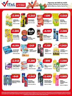 Vista previa del folleto de la tienda Vital válido desde el 29/12/2025 