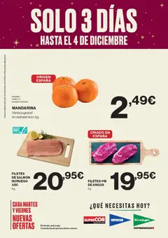 Vista previa las ofertas de la tienda El Corte Inglés - Catálogo desde el 02/12/2025 