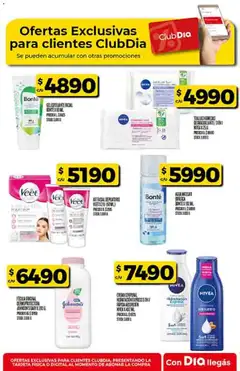 Vista previa del folleto de la tienda Dia válido desde el 05/11/2025 | Página: 53