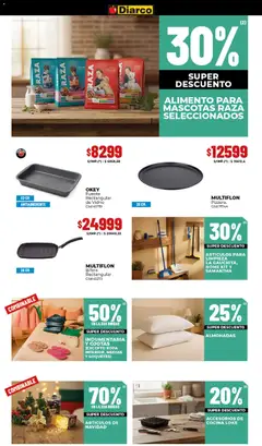 Vista previa del folleto de la tienda Diarco válido desde el 17/11/2025 | Página: 24