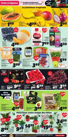 Preview of leaflet Weekly flyer / circulaire from shop IGA is valid from Dec 04, 2025 | Page: 3