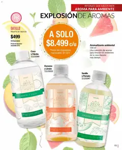 Vista previa del folleto de la tienda Bagués válido desde el 17/11/2025 | Página: 93