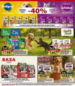 Vista previa del folleto de la tienda Coto válido desde el 03/11/2025 | Página: 22