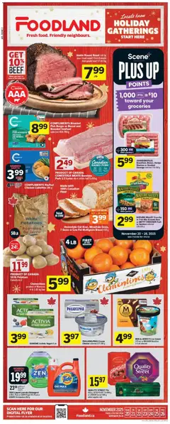 Preview of leaflet Weekly Flyer - NL from shop Foodland is valid from Nov 20, 2025