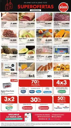 Vista previa del folleto de la tienda Disco válido desde el 15/02/2026 