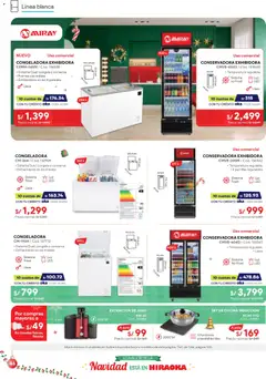 Vista previa de Catálogo de la tienda Hiraoka válido desde 06/12/2025 | Página: 46