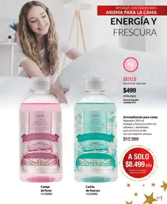 Vista previa del folleto de la tienda Bagués válido desde el 17/11/2025 | Página: 91