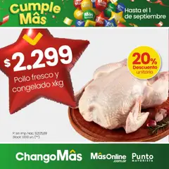 Vista previa del folleto de la tienda Punto Mayorista válido desde el 31/08/2025 